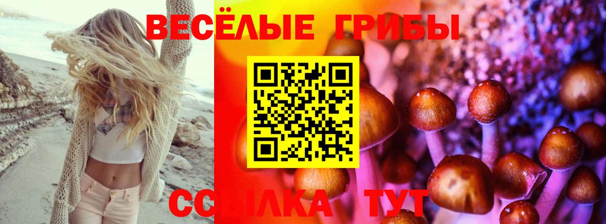 Галлюциногенные грибы ЛСД  Галлюциногенные грибы Cubensis  Можга  Вход с VPN 